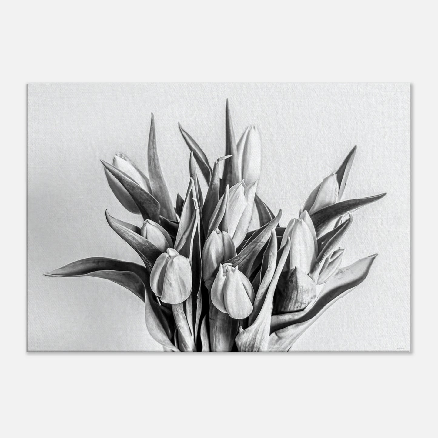 e651aa93-93e1-4997-8e50-ddbddf5f68d9