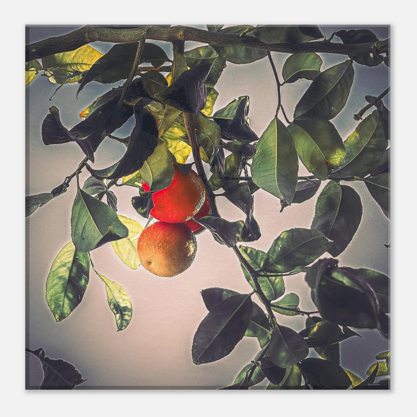 e6964f71-1535-4dfe-b52c-7707b0ba2261