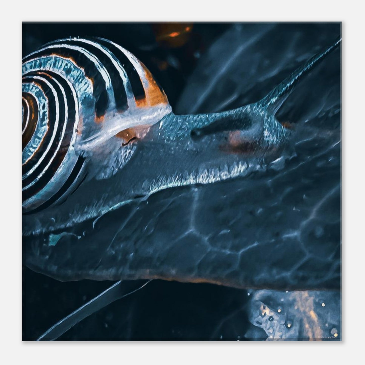 e6d8f975-79a3-4921-8dee-dc1bf2957a19