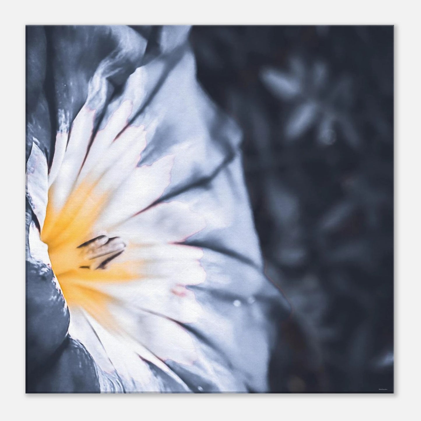 e704af5f-4875-4c29-ab3b-ce31671c3a81