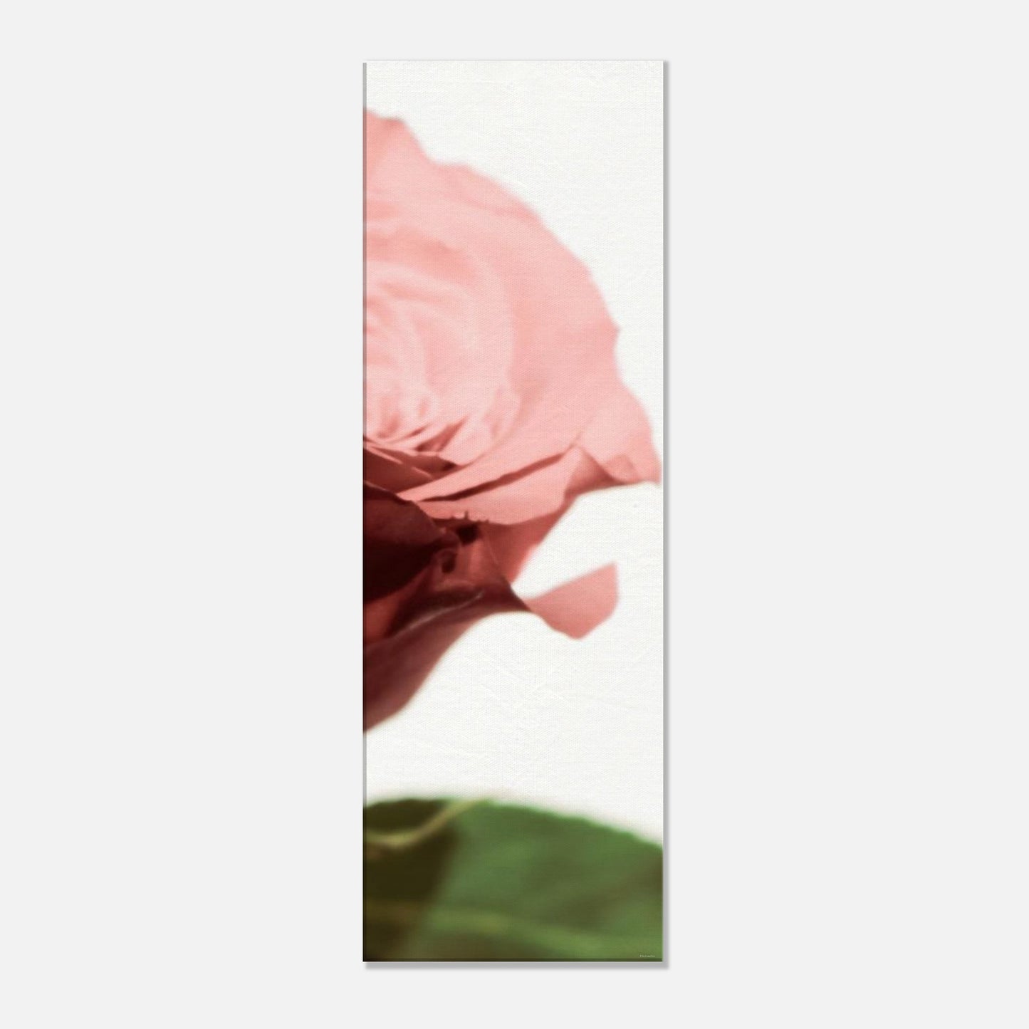 e70b683d-0f22-4ac0-99c1-40c79087eb12
