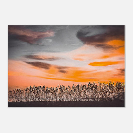 e7328a2b-beda-4f4c-823c-ef4261360a24