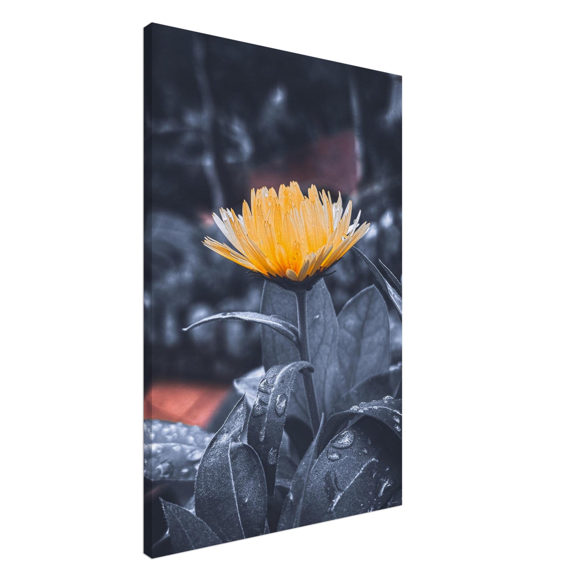 e738cb96-bbfa-4b2a-b8a8-3edd15068d89