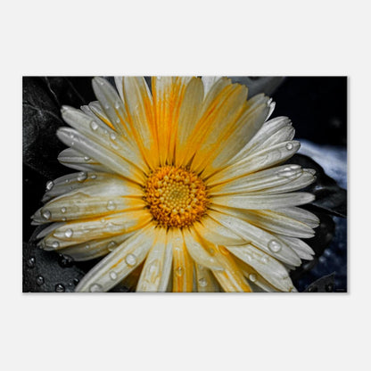 e76730ef-89f1-452a-b129-f2b3987a5c3d