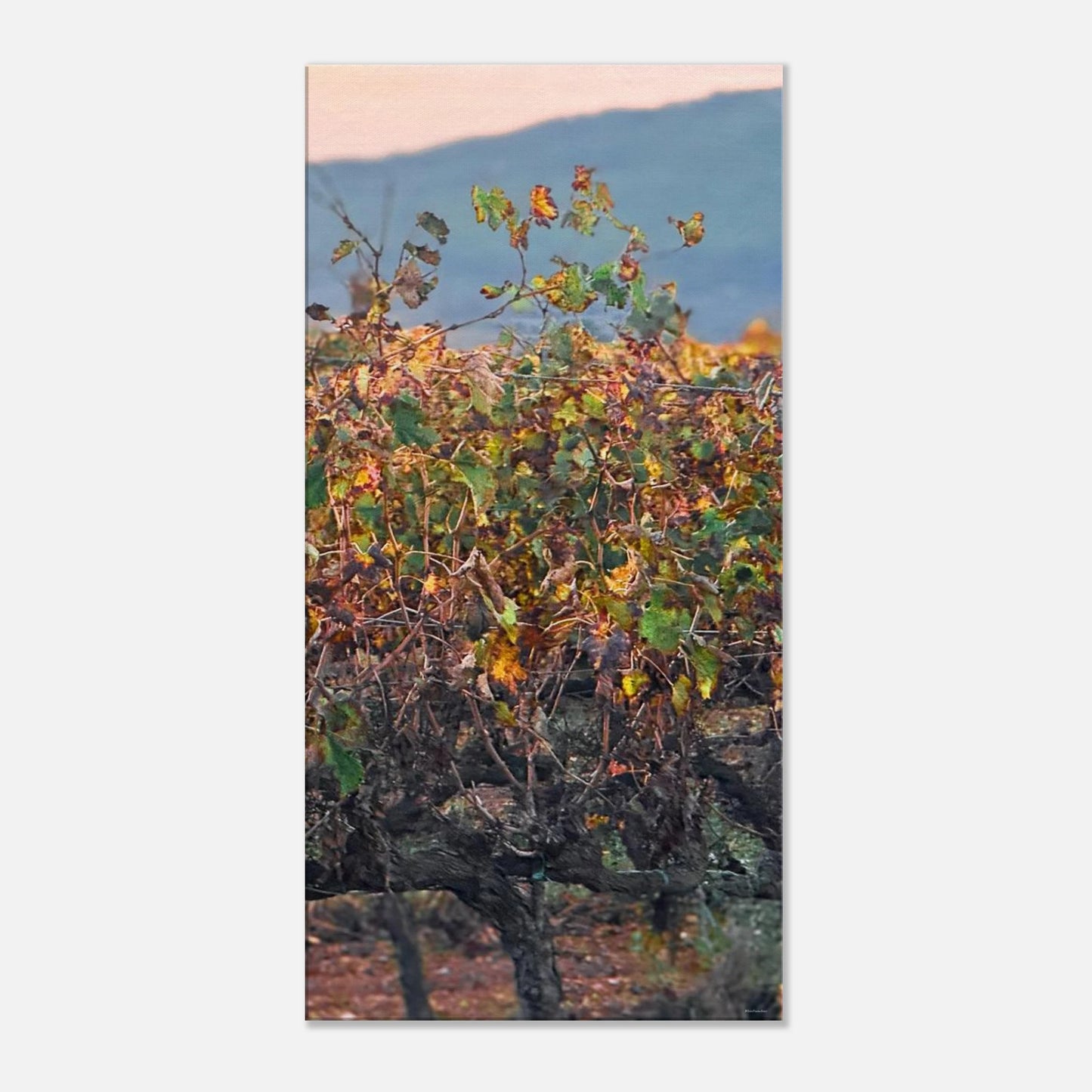 e7776ba5-2ec0-46b7-9b4a-9ddec948bacc