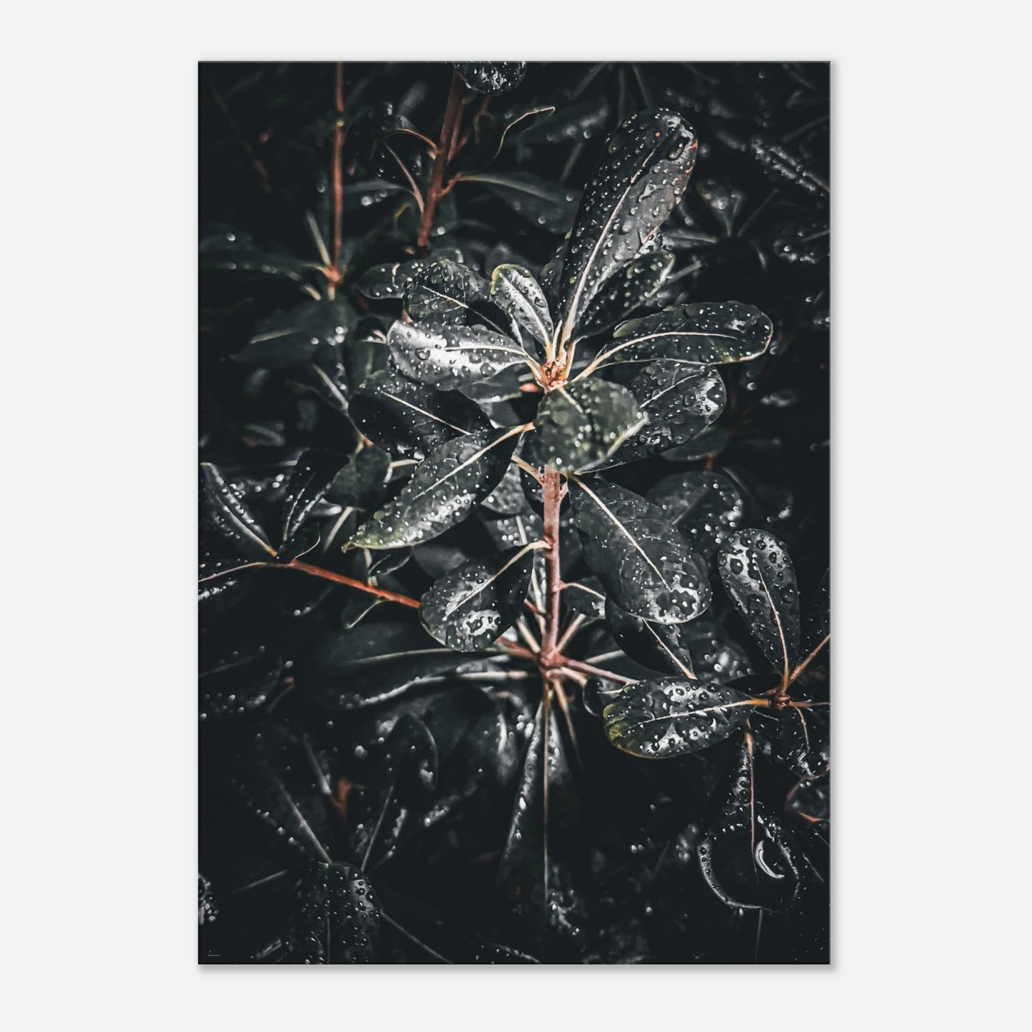 e784a248-dc52-49ca-9a8e-d662b5c220b1