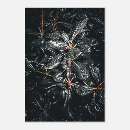 e784a248-dc52-49ca-9a8e-d662b5c220b1