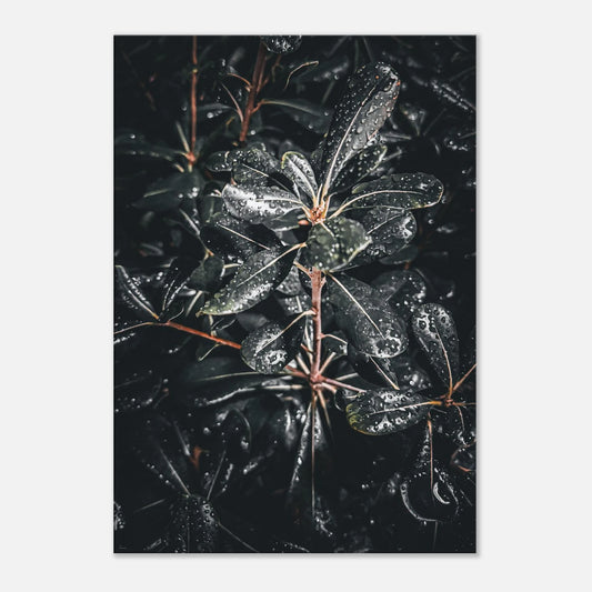 e784a248-dc52-49ca-9a8e-d662b5c220b1