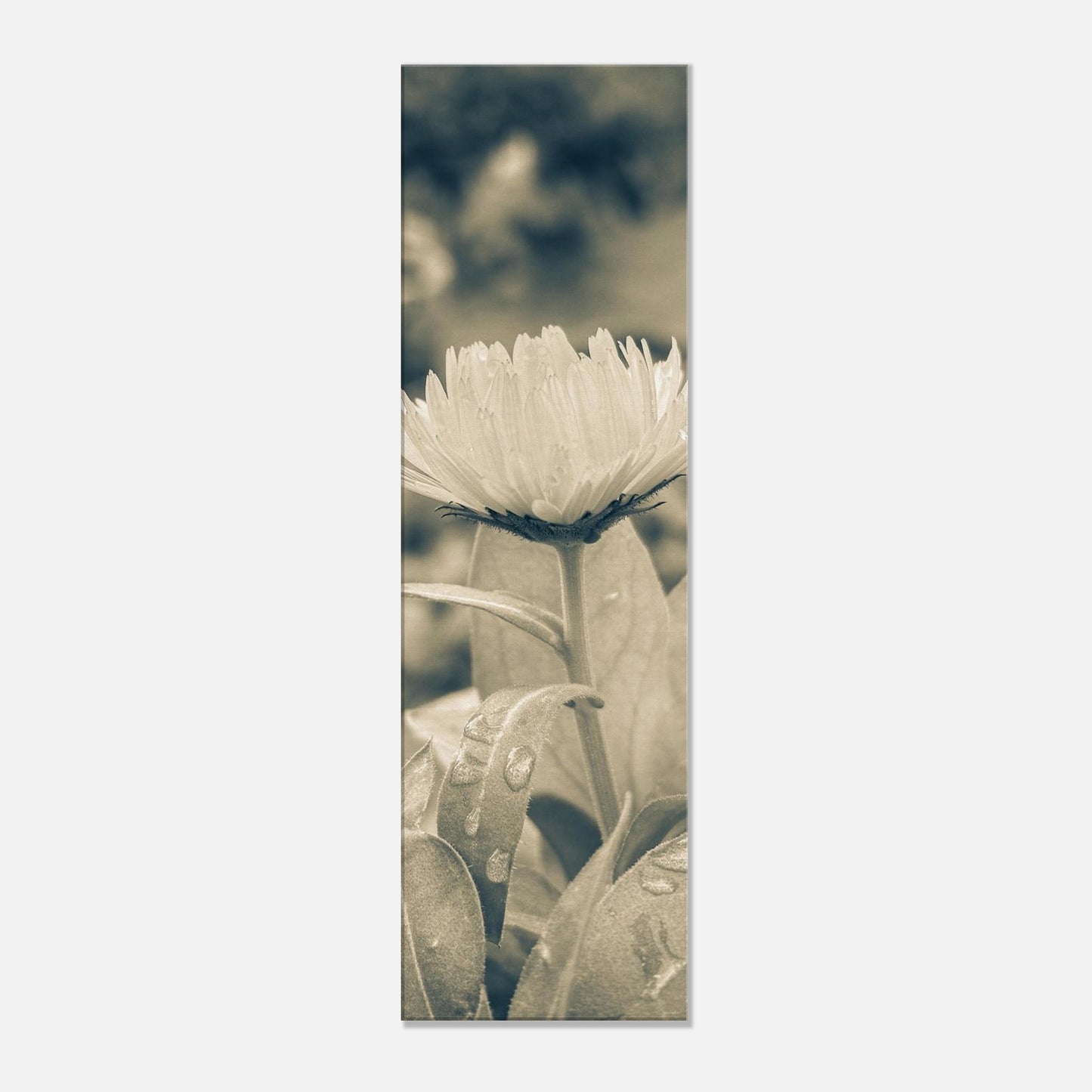 e7880d46-9904-4f60-852e-a98dcdf37b9d