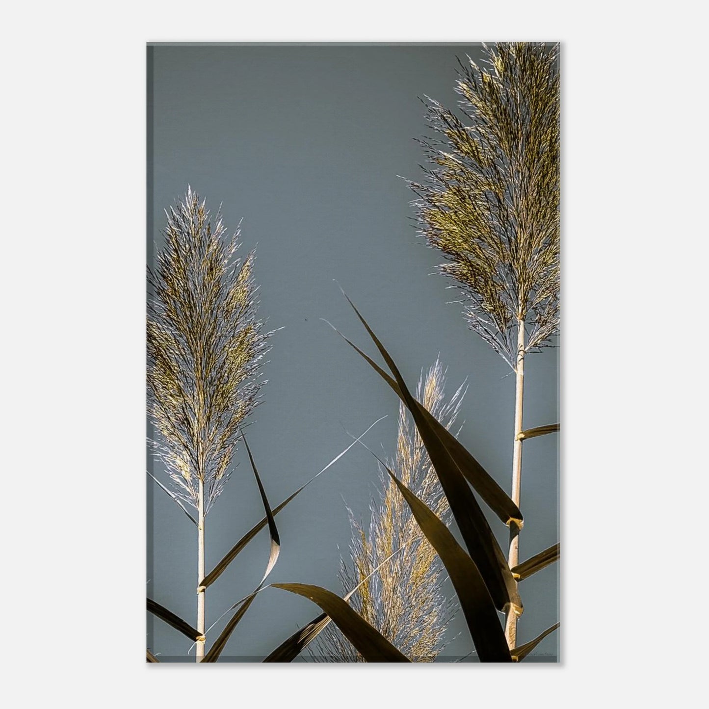 e7919c9a-bf39-4dac-8867-ac622d58d287