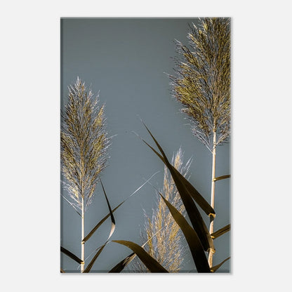 e7919c9a-bf39-4dac-8867-ac622d58d287