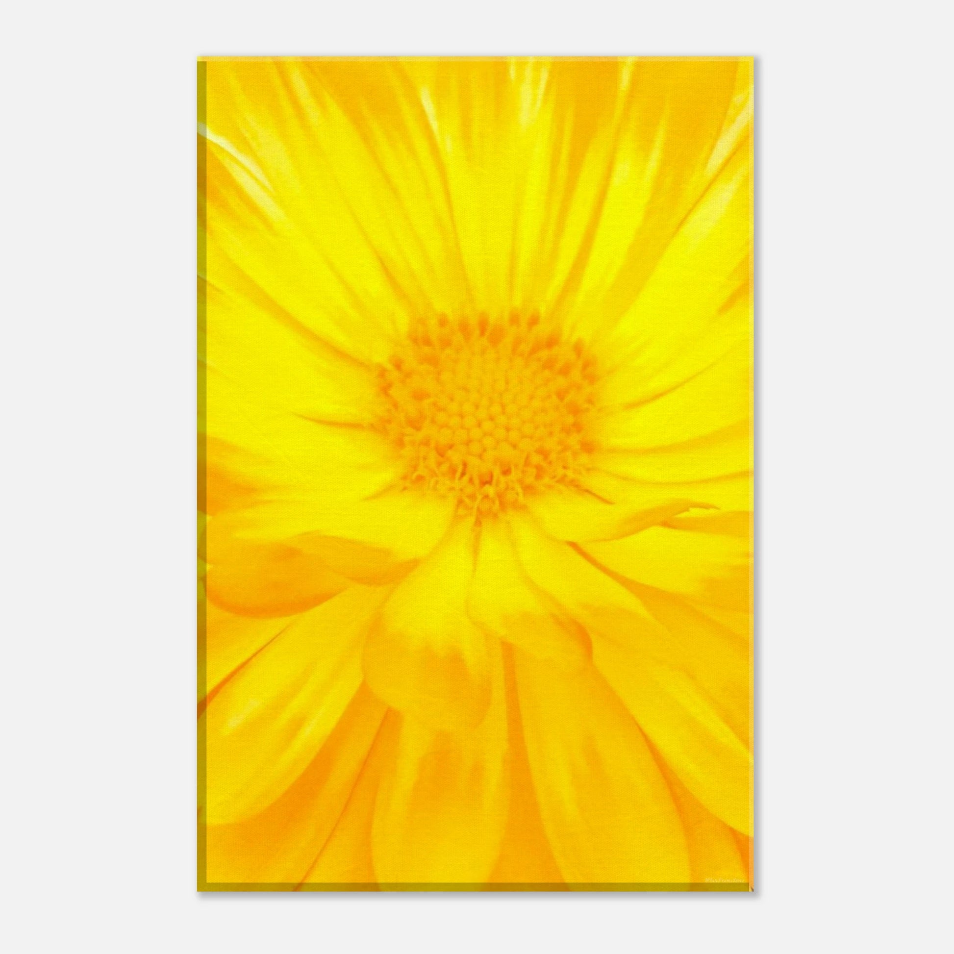 e7a2282d-3502-49a4-beb0-d9ba8e1c6ec3