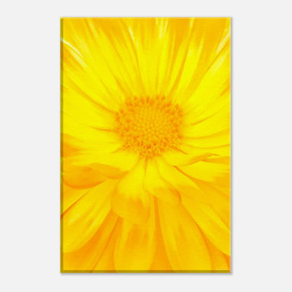 e7a2282d-3502-49a4-beb0-d9ba8e1c6ec3