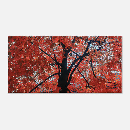 e7aba815-08bd-4e6f-bcd6-e6f3e4c7e2f9