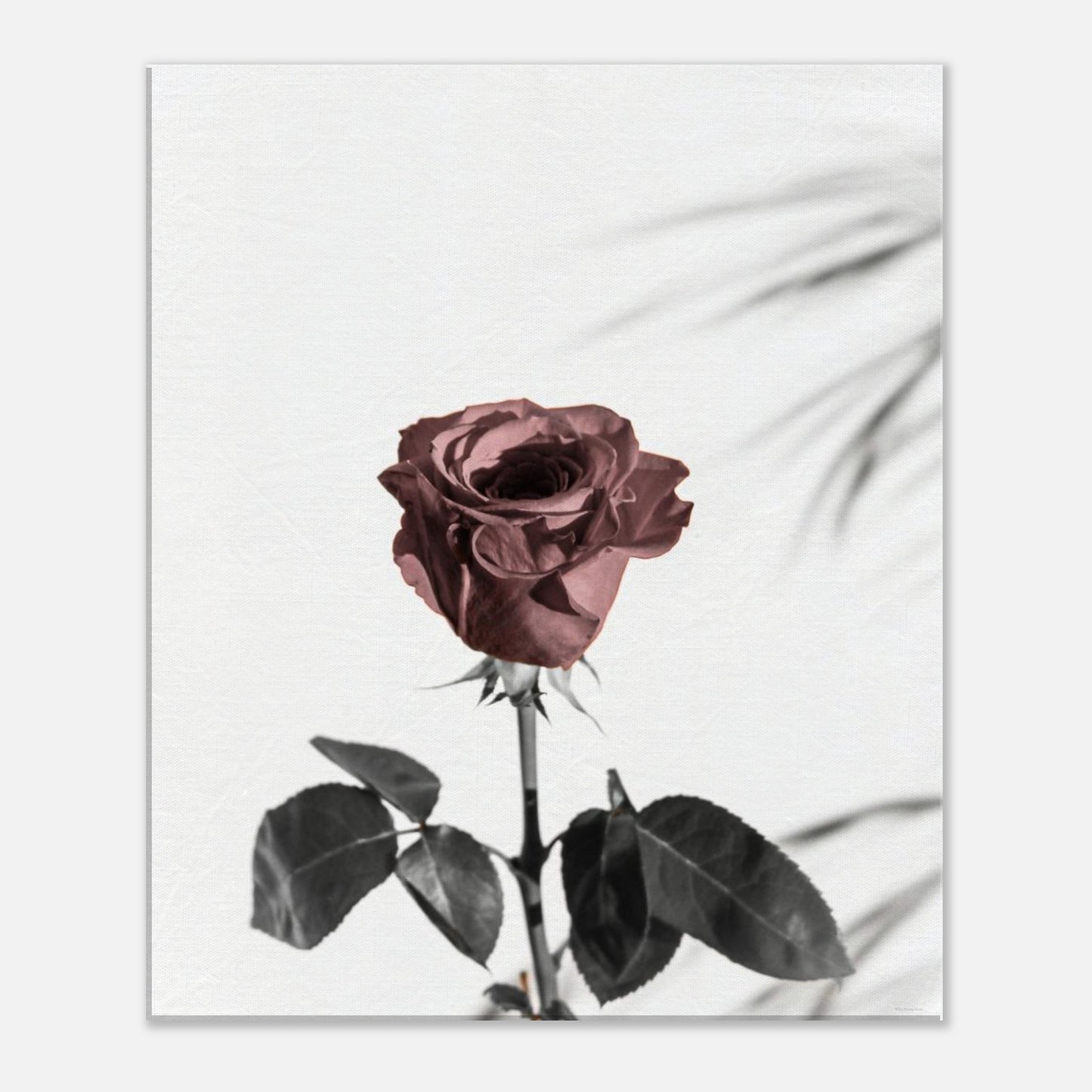 e7aca3e2-6437-4fc5-a25b-728c857d22da