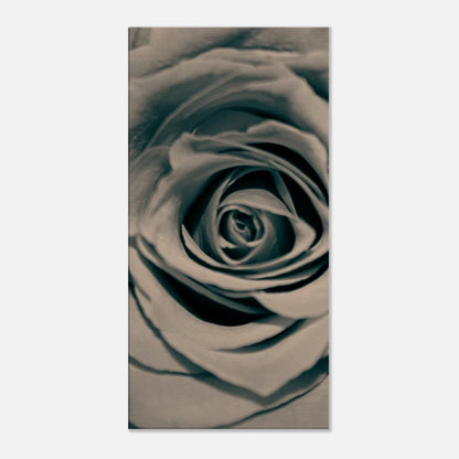 e7e22ce5-521b-4ba1-8ebd-105a0d0fe4ca