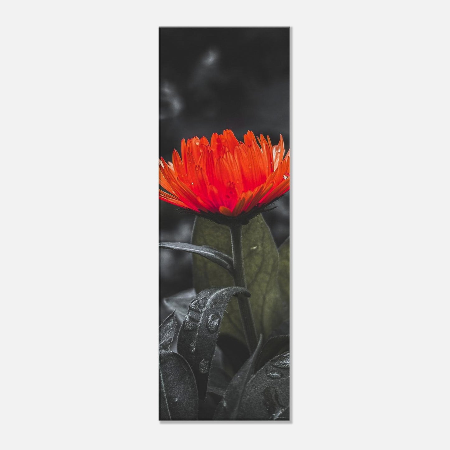 e7e4e0b5-b6eb-48ce-bf23-efb7dee497e5