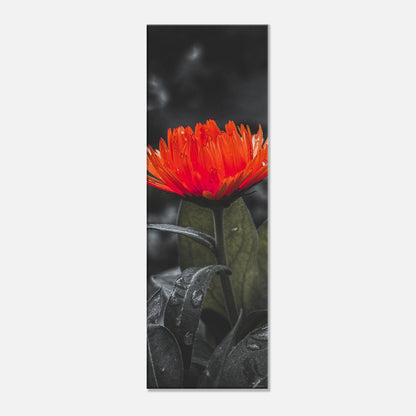 e7e4e0b5-b6eb-48ce-bf23-efb7dee497e5