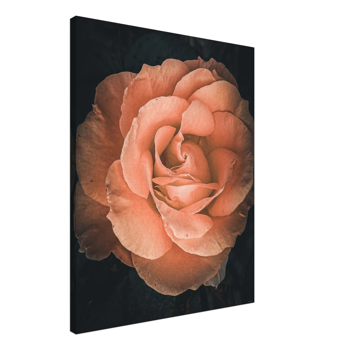 e7f1454f-c2e7-4e80-9fc3-c5d91c63818c