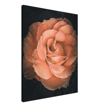 e7f1454f-c2e7-4e80-9fc3-c5d91c63818c