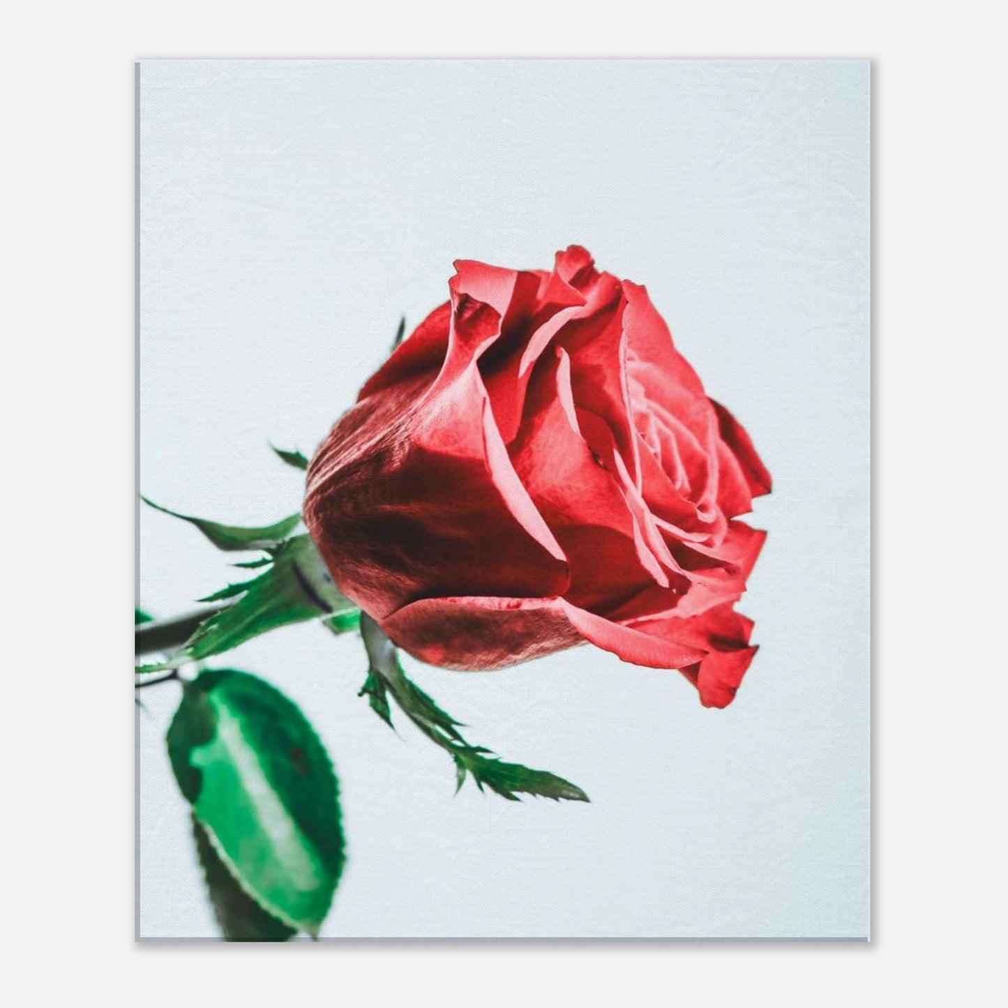 e7f84130-0380-44bc-bfb1-71b64493f20f