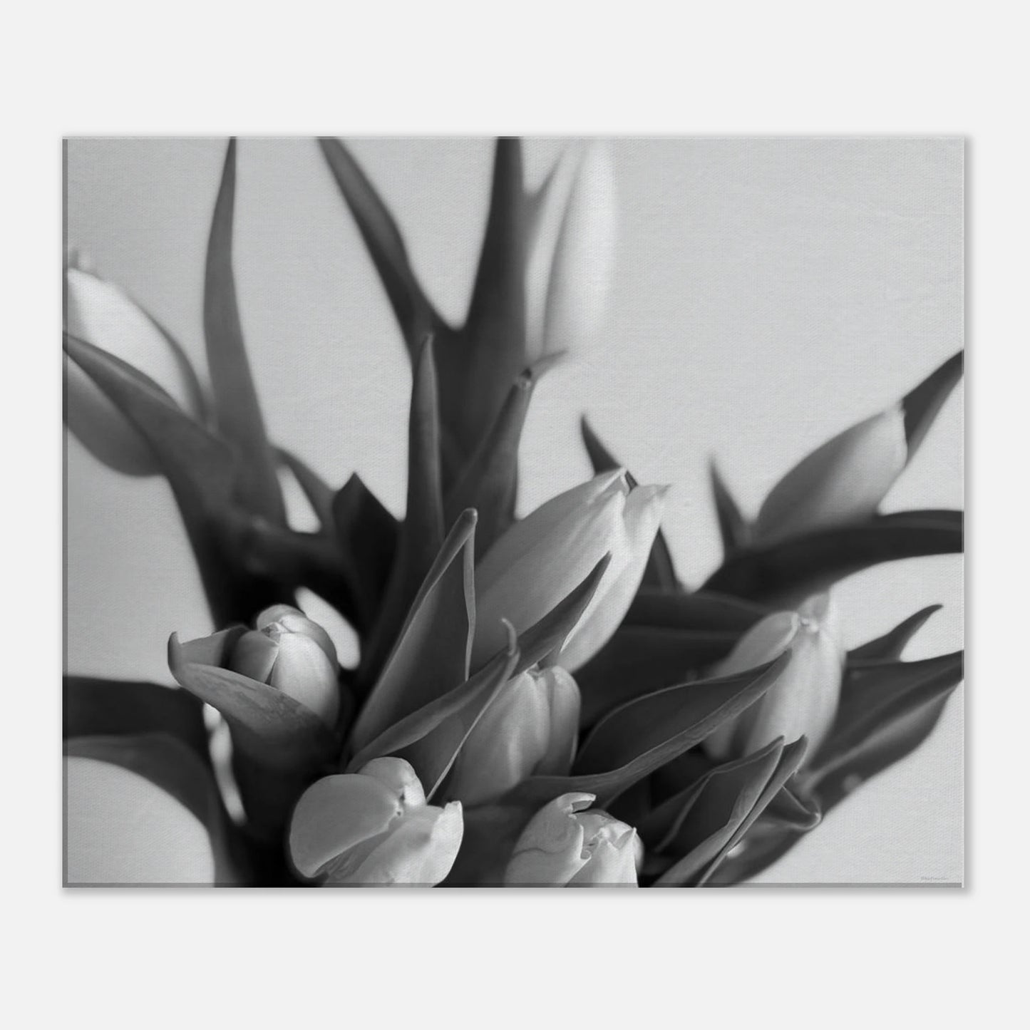 e804c757-5ea8-42ac-b6af-61551c0dc066