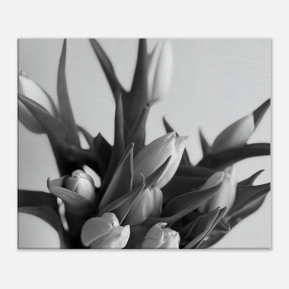 e804c757-5ea8-42ac-b6af-61551c0dc066