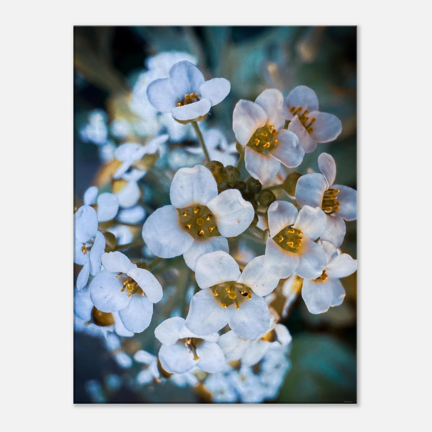 e81dc3d0-7380-4ceb-8e06-a47546ca98dd