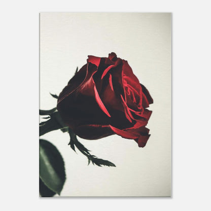 e8385474-8e3f-409c-be13-cc363451cbcf