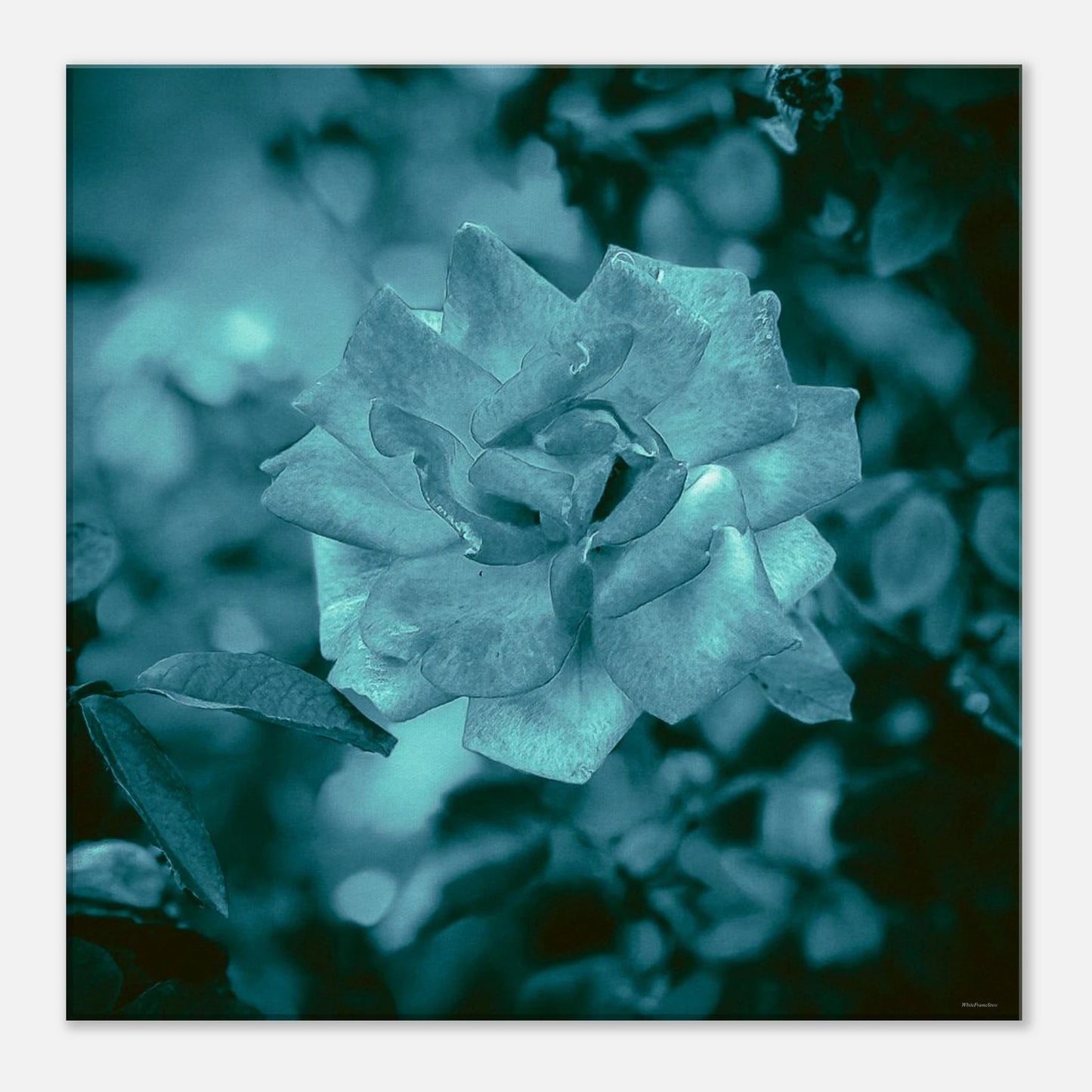 e85098d2-9940-4c03-96ef-4512ad83bfb2