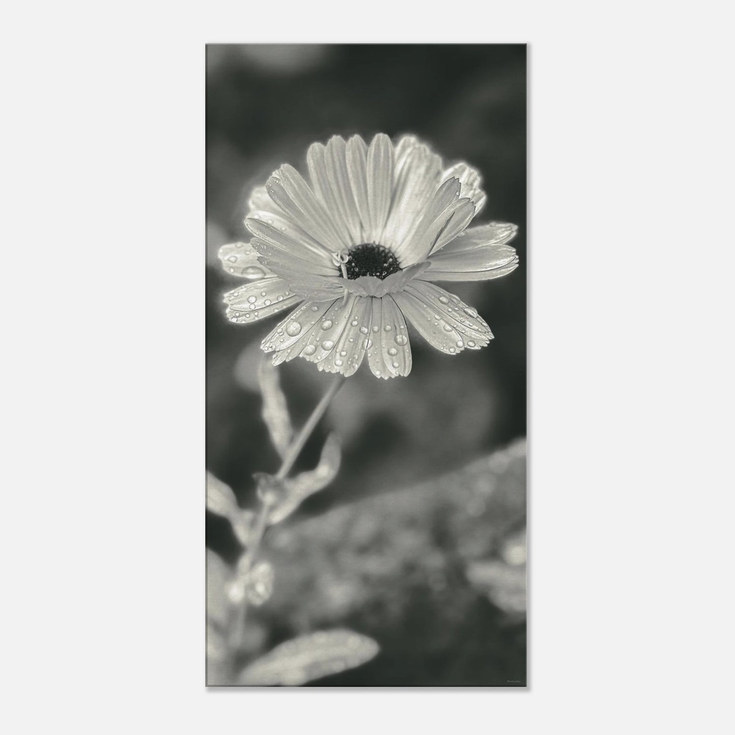 e86aecea-61f6-41c8-bbd8-de6752440a1e