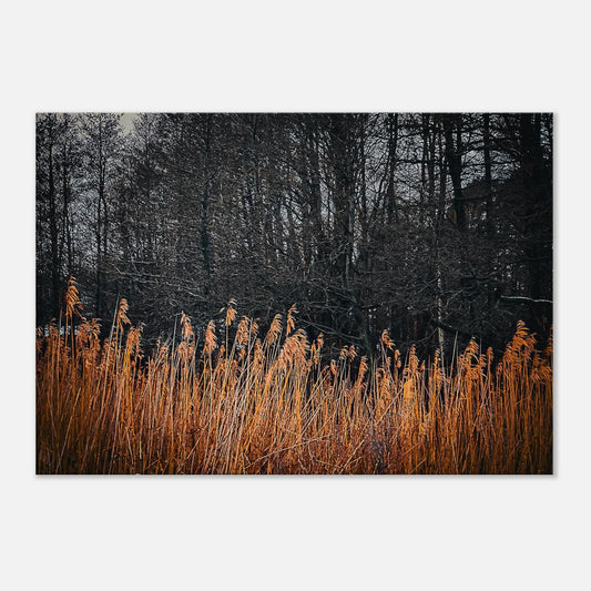 e881b8cc-4502-42ae-8d5b-425e76a0829a