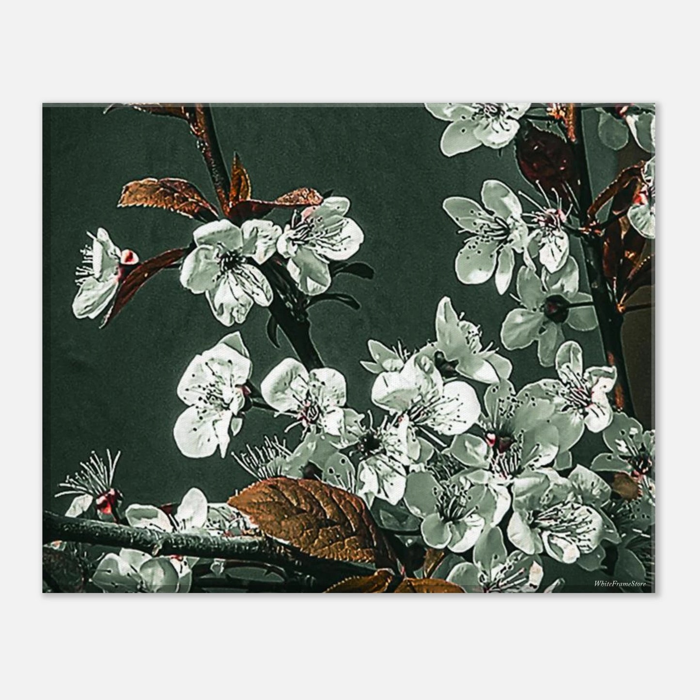 e89241a4-fcbf-47ed-b2ff-b85fd37565e4