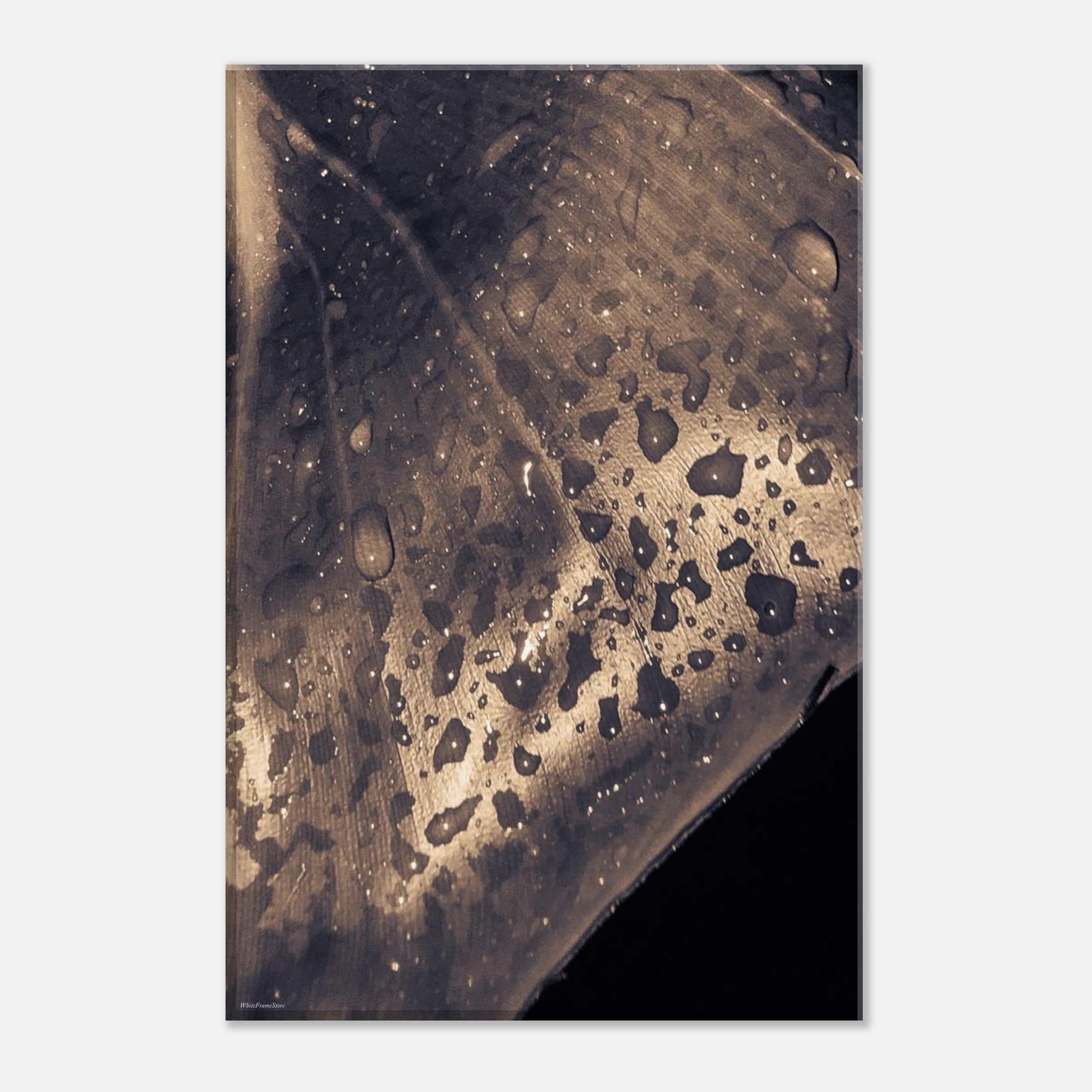 e8ad3ef8-6f45-4217-86c4-90e38e4fbd06