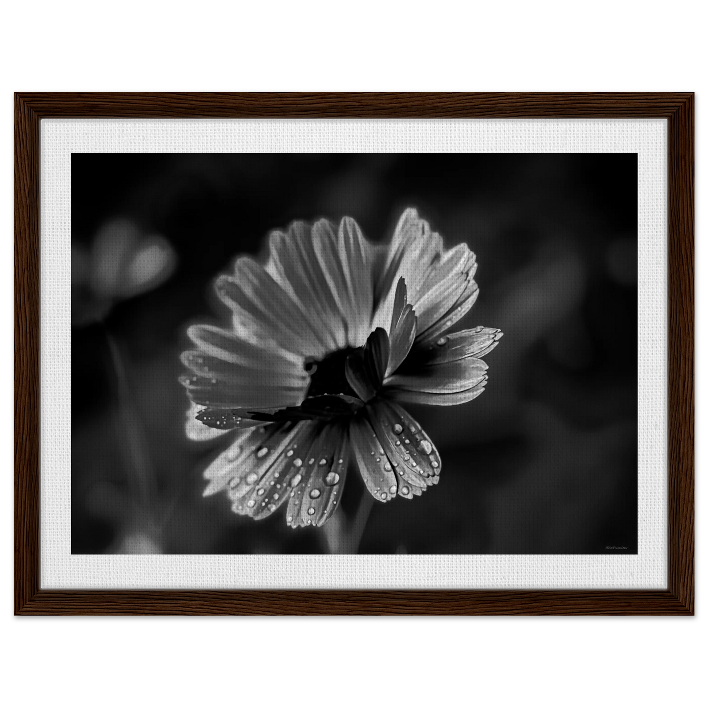 e8c1b67a-5887-4479-a492-58748050f958