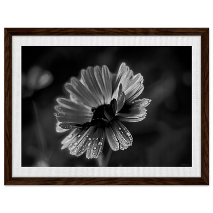 e8c1b67a-5887-4479-a492-58748050f958