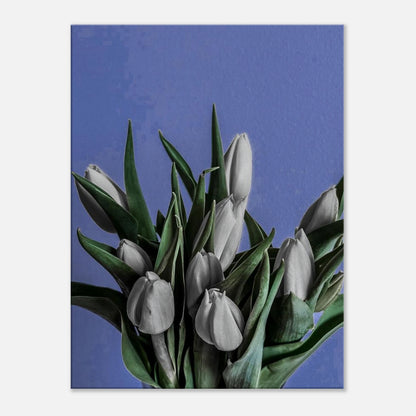 e8d3d141-659b-4eff-8d09-0e89266c057d