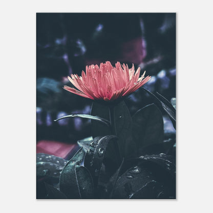 e8f7a87b-030a-4e64-bcca-cd745cc9d158