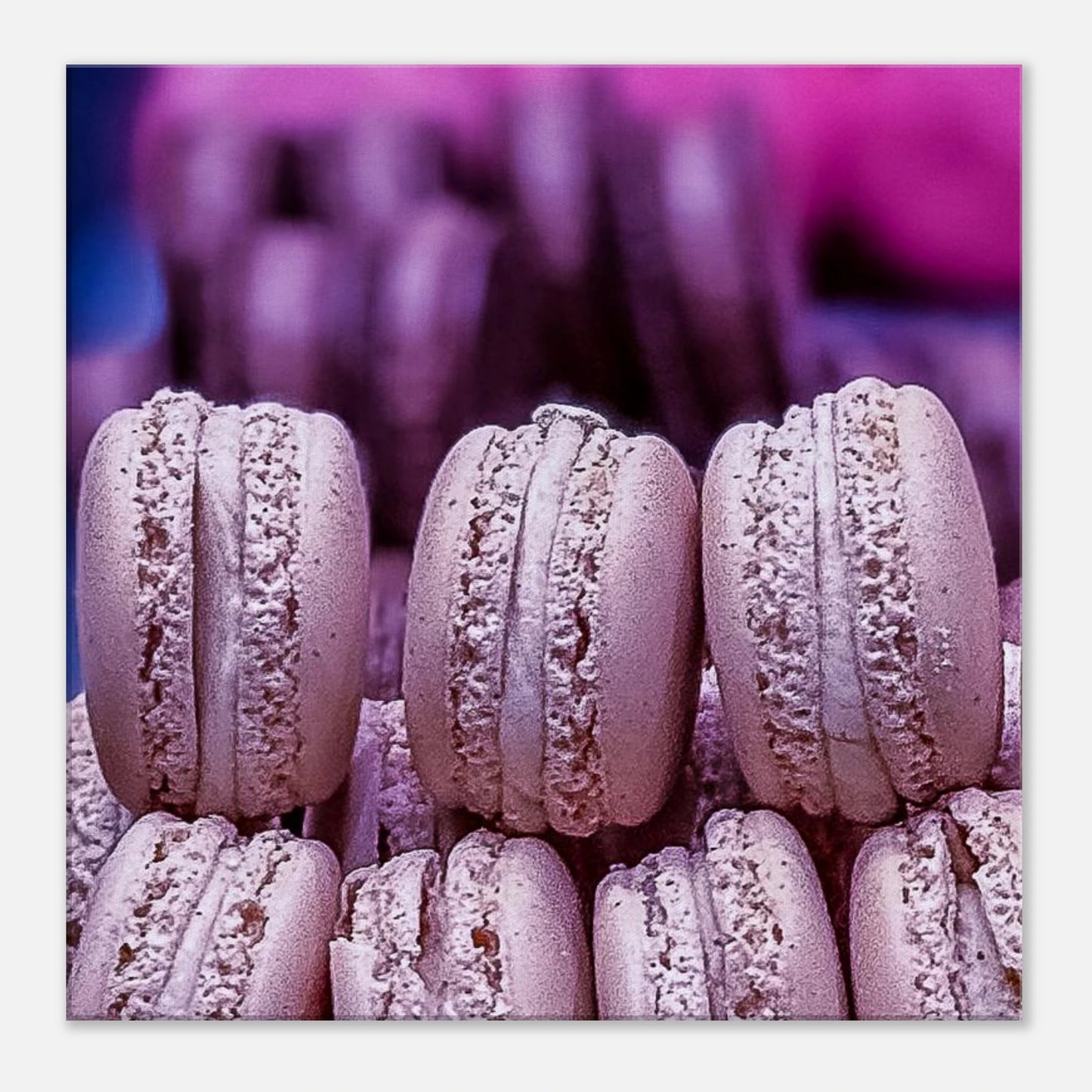 e905ba91-036d-4514-94a3-735ac09caecd