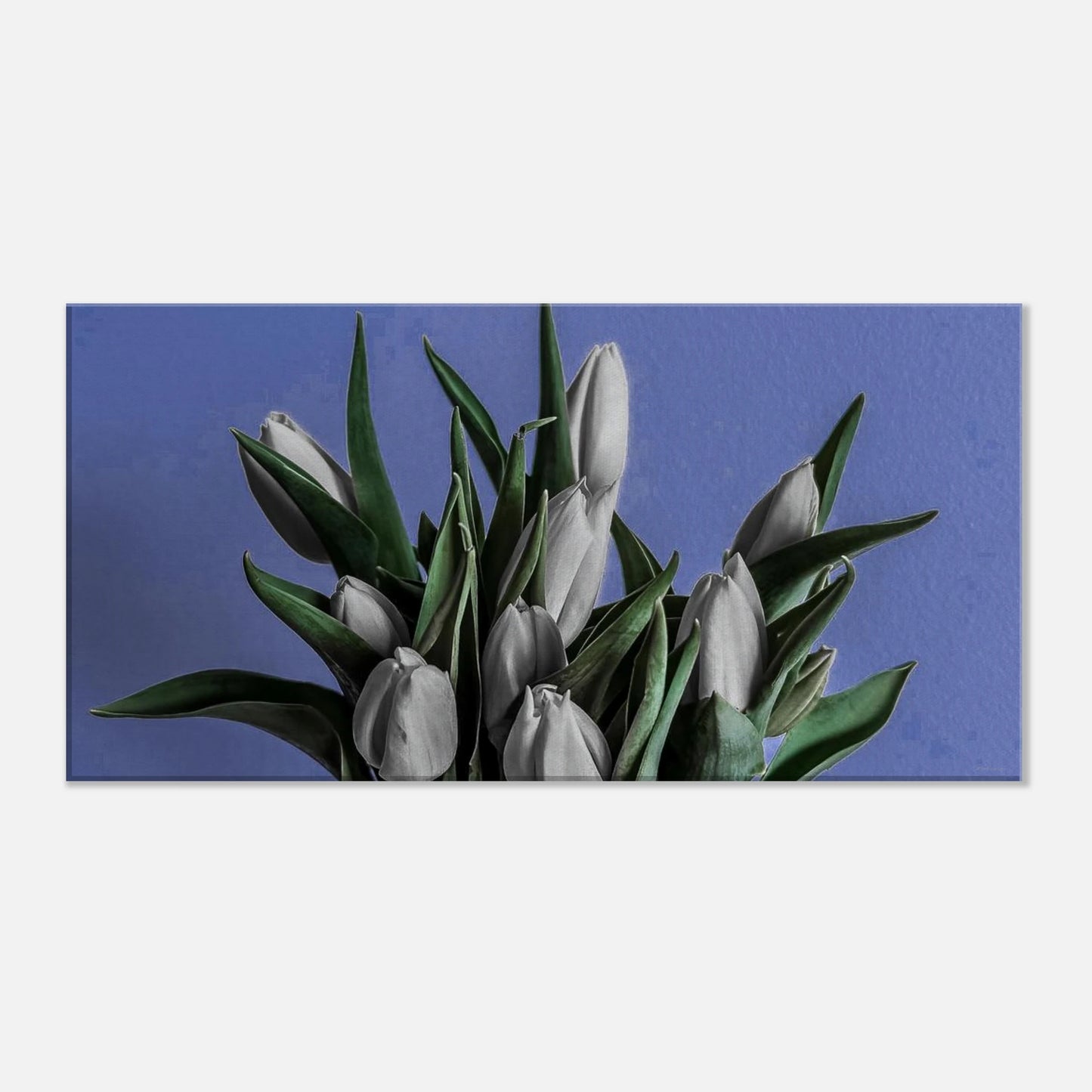 e91d828a-40d0-41d3-9602-9061fe5b598f