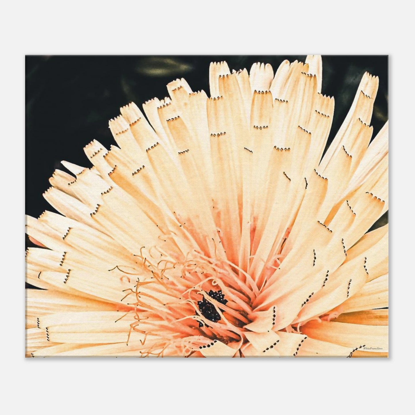 e927bae2-2d76-4425-b248-e06f61ac00cb