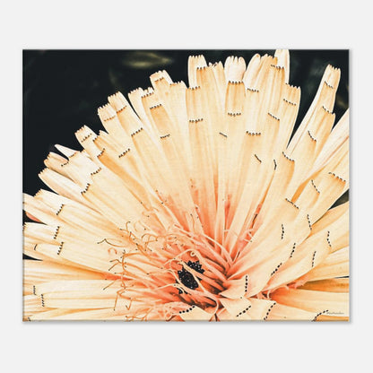 e927bae2-2d76-4425-b248-e06f61ac00cb