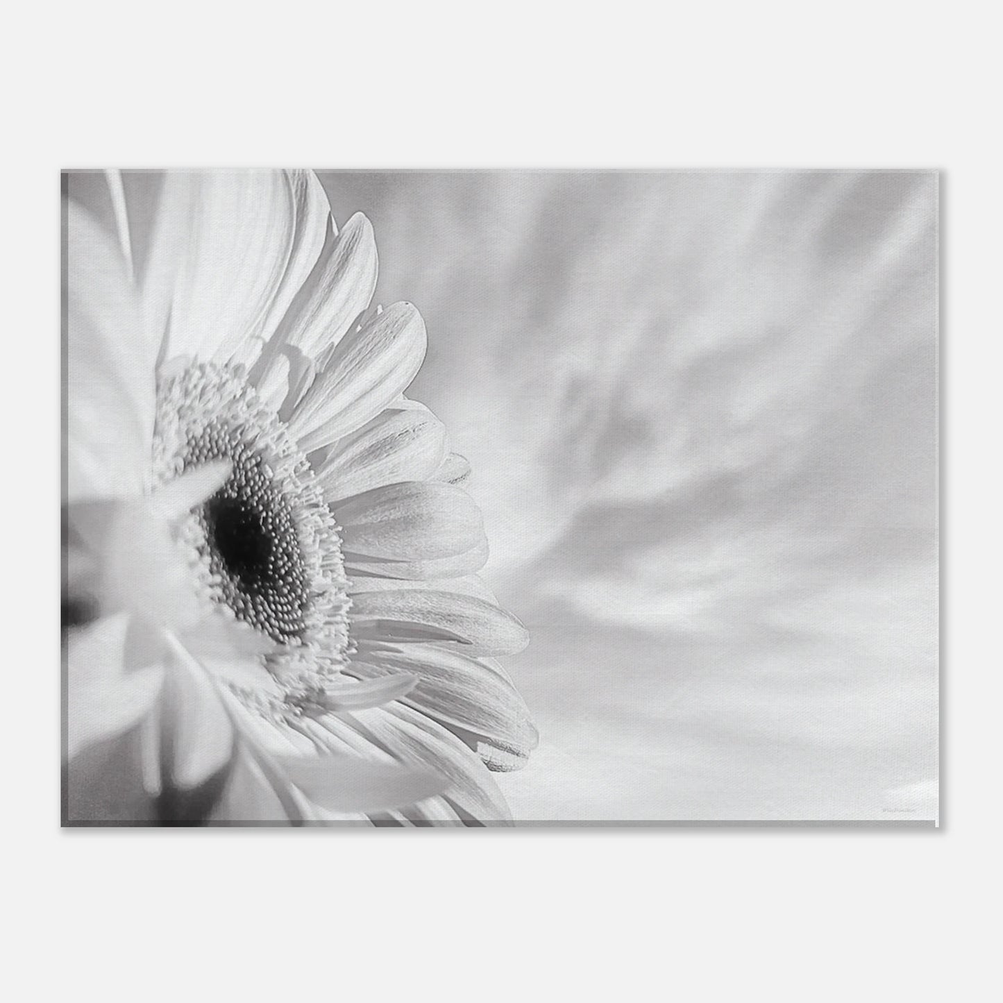 e9305fac-b5e0-4f28-8a98-eab8a4bdabb8