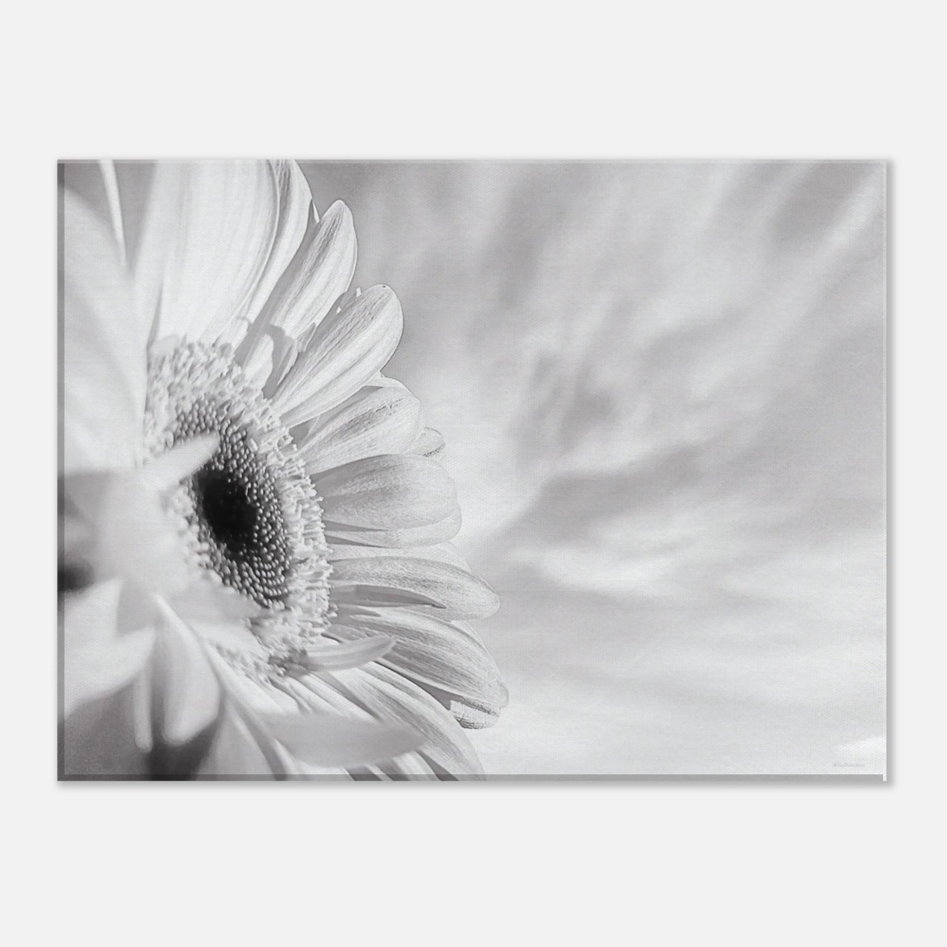 e9305fac-b5e0-4f28-8a98-eab8a4bdabb8