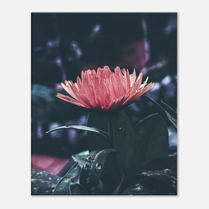 e94da773-534a-4241-8058-349de8b107f6