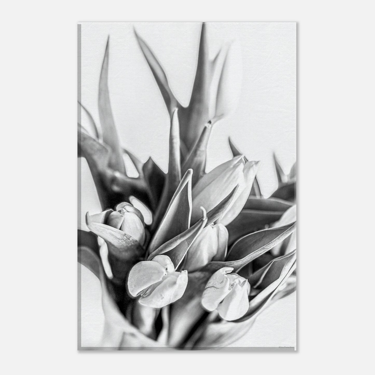 e9673cd9-e6f2-453a-9868-76eeae2824db