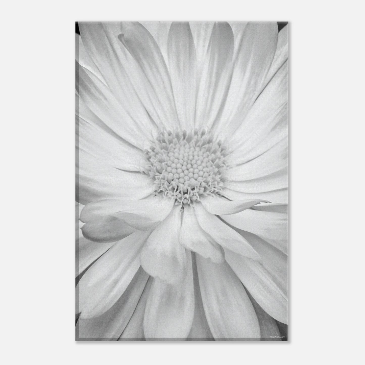 e979a2c0-8eeb-4159-a0eb-1d81f78803d7