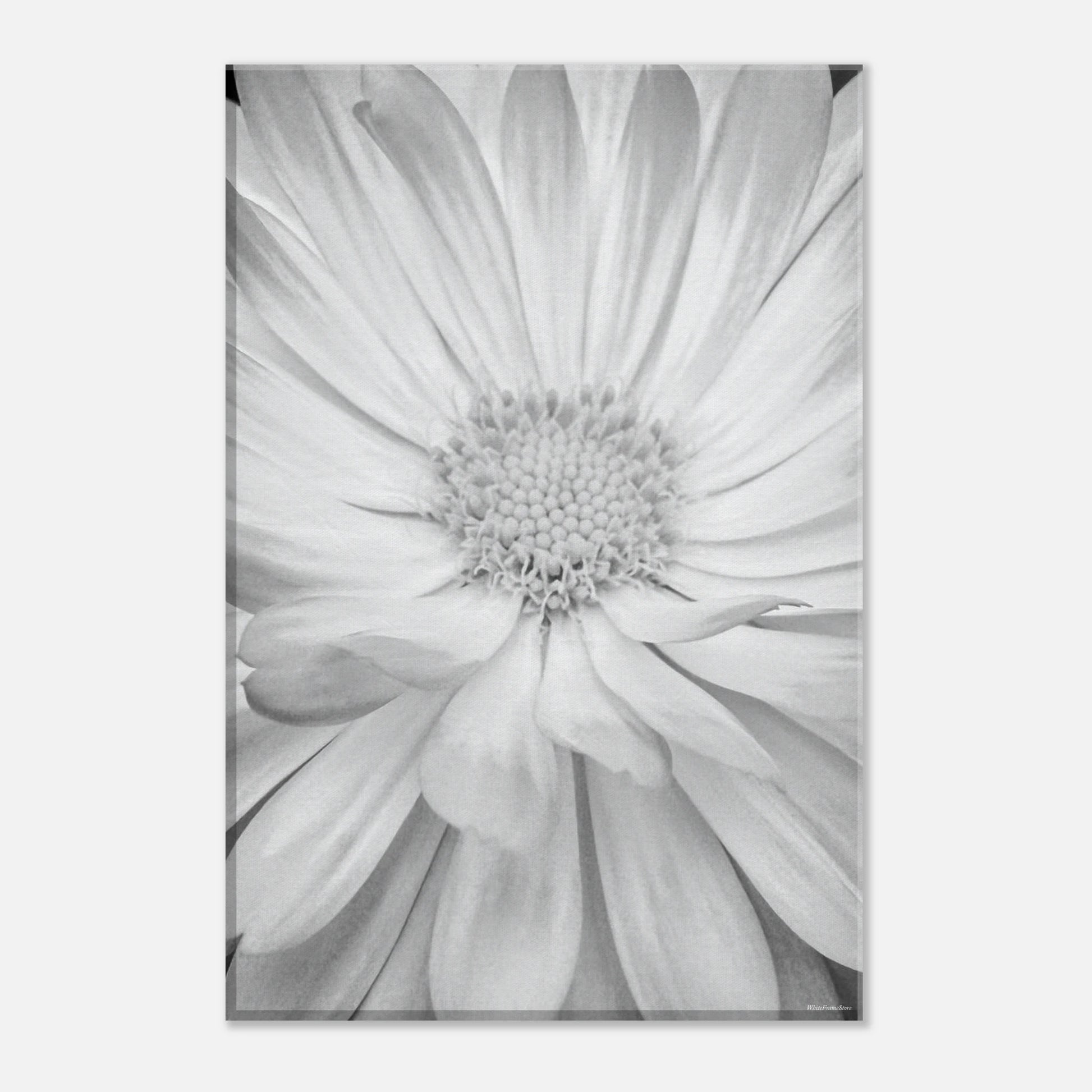 e979a2c0-8eeb-4159-a0eb-1d81f78803d7