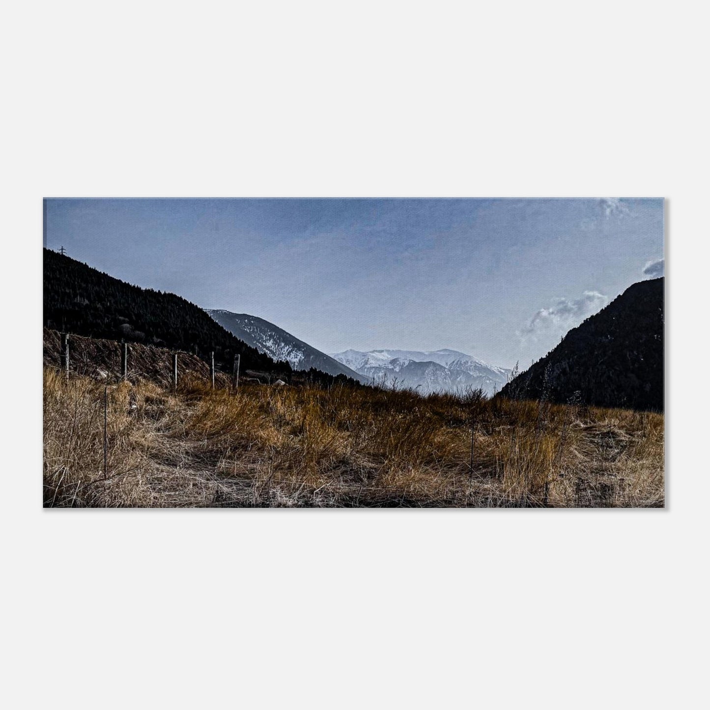 e9879782-c007-4247-95ec-c10f5f9831ef