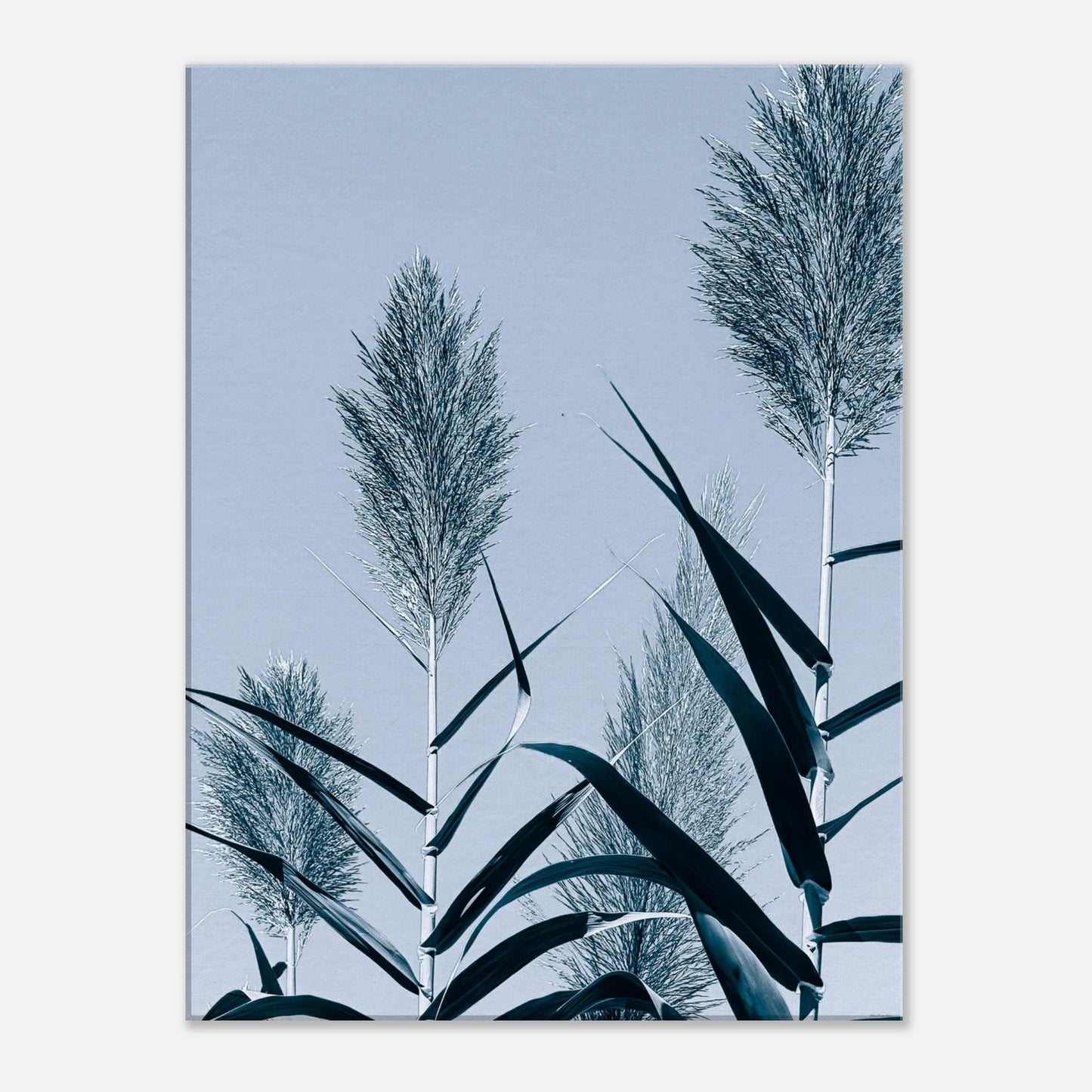 e99042d2-936c-4bb2-beef-6bd0b4d97427